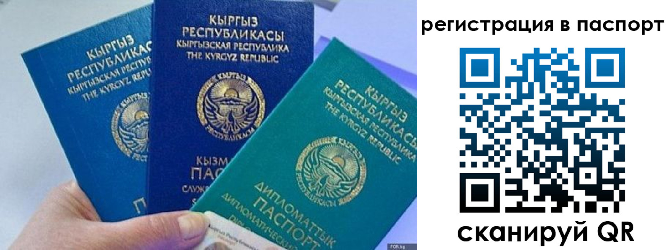 прописка 2025 в Нижегородской области